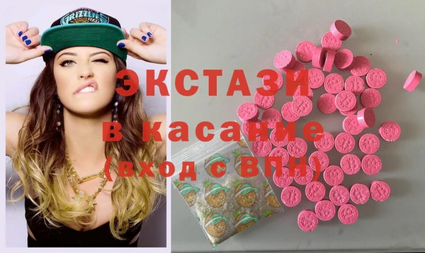 ECSTASY Богородицк