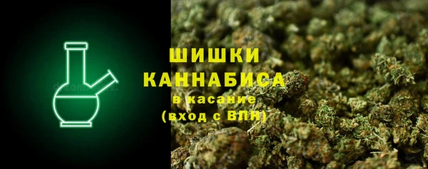 ECSTASY Богородицк